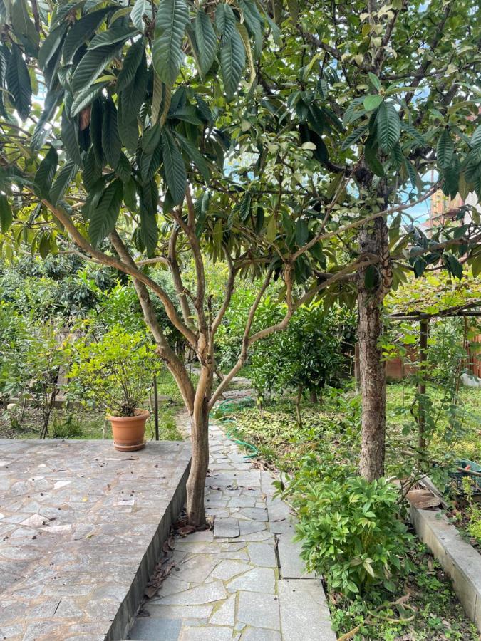 Апартаменты Gardenie Кутаиси Экстерьер фото